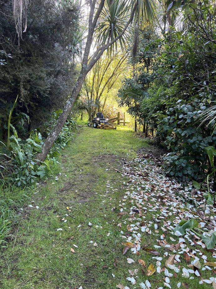 Mowit4you ride-on mower working in a challenging lawn area